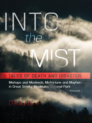 cover image of Into the Mist